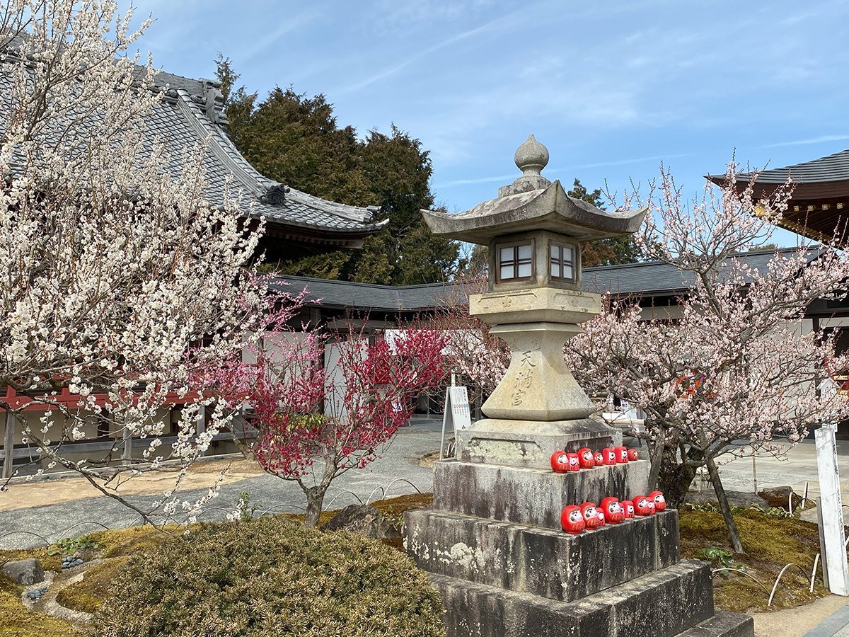 ⛩️ 이즈미 신사 (射水神社) 이미지 4